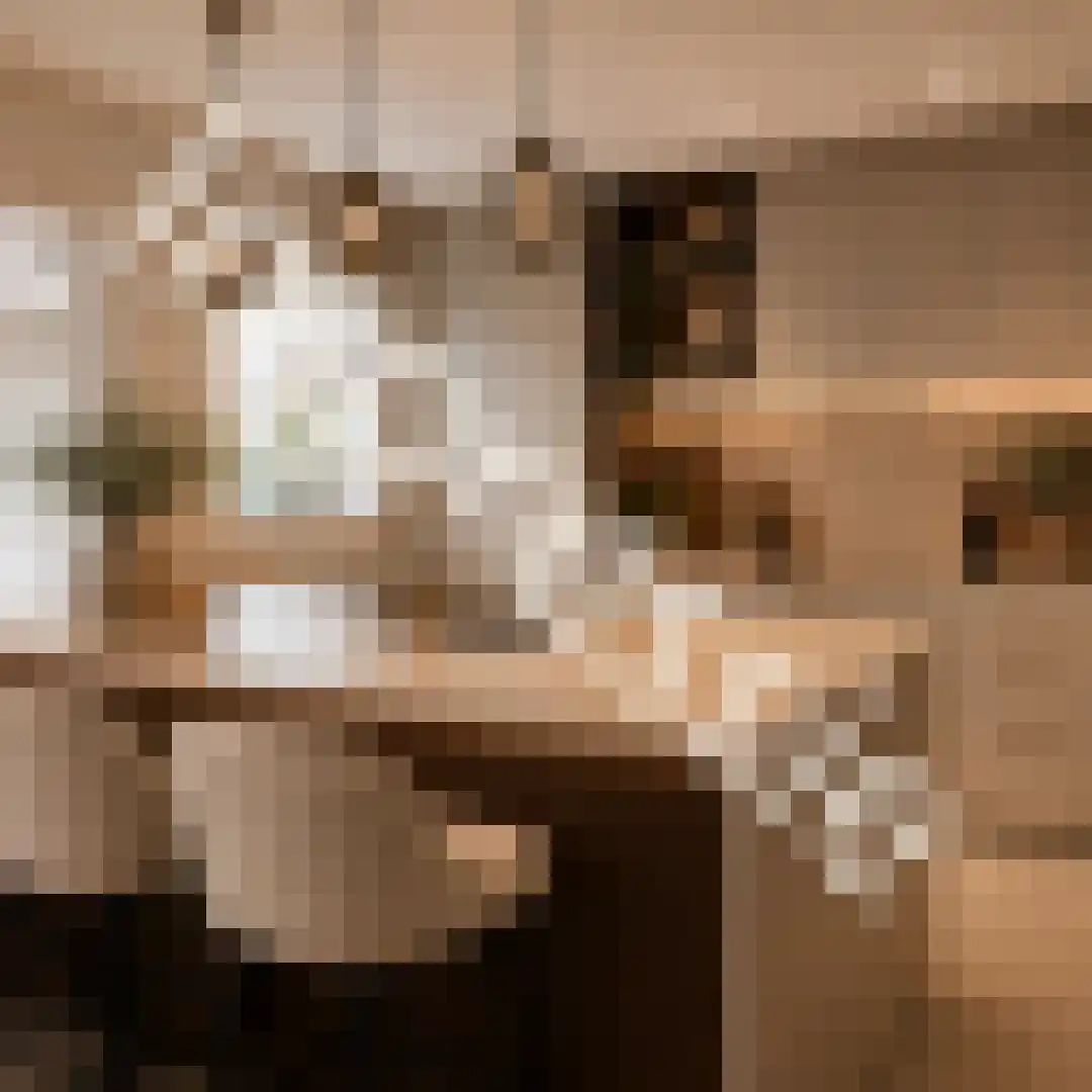 Bulkstraat 10 Genderen thumbnail 4
