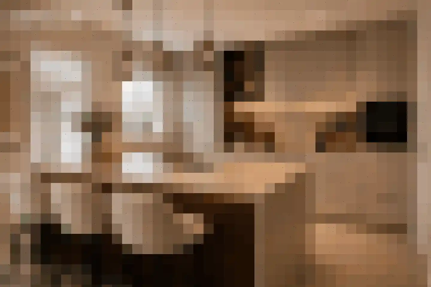 Bulkstraat 10 Genderen thumbnail 4