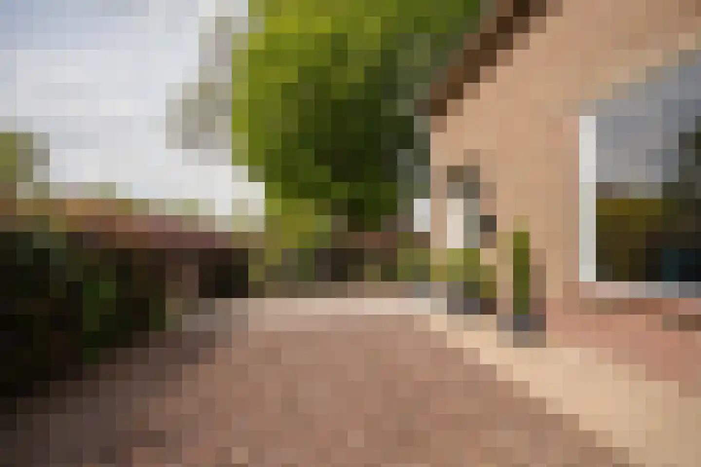 Bulkstraat 10 Genderen thumbnail 40