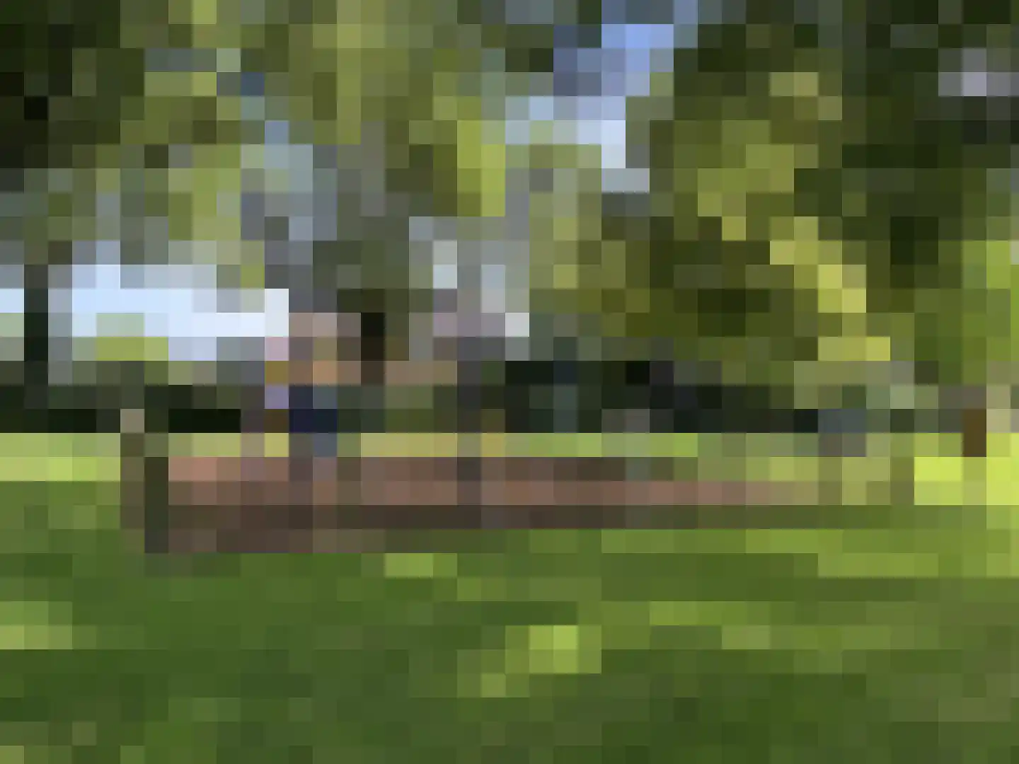 Bulkstraat 10 Genderen thumbnail 48