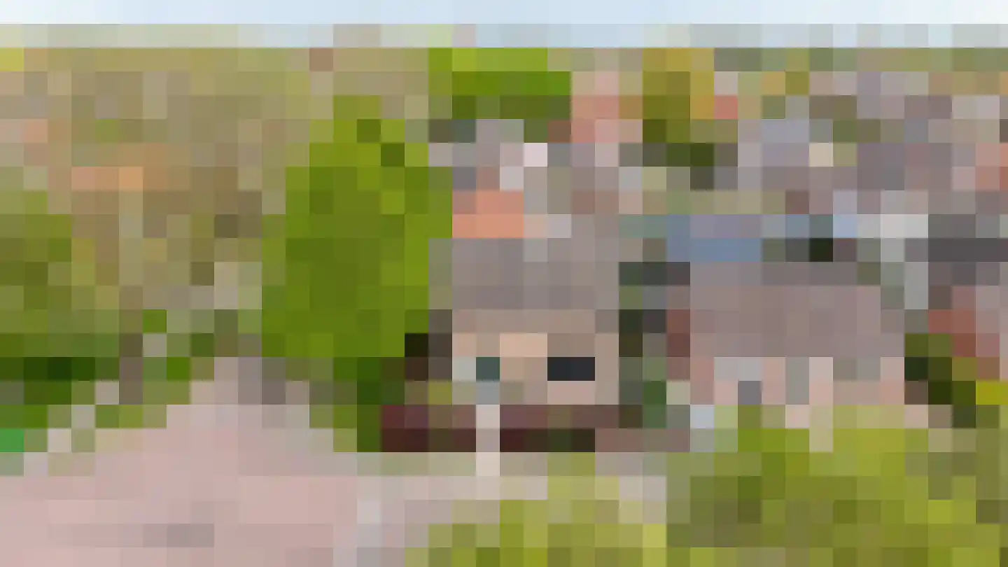 Bulkstraat 10 Genderen thumbnail 50