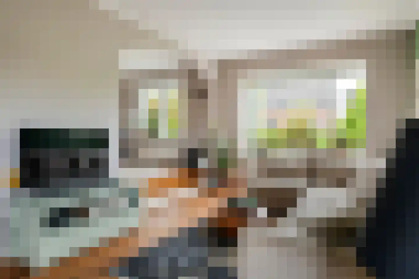 Bulkstraat 15 Deil thumbnail 14
