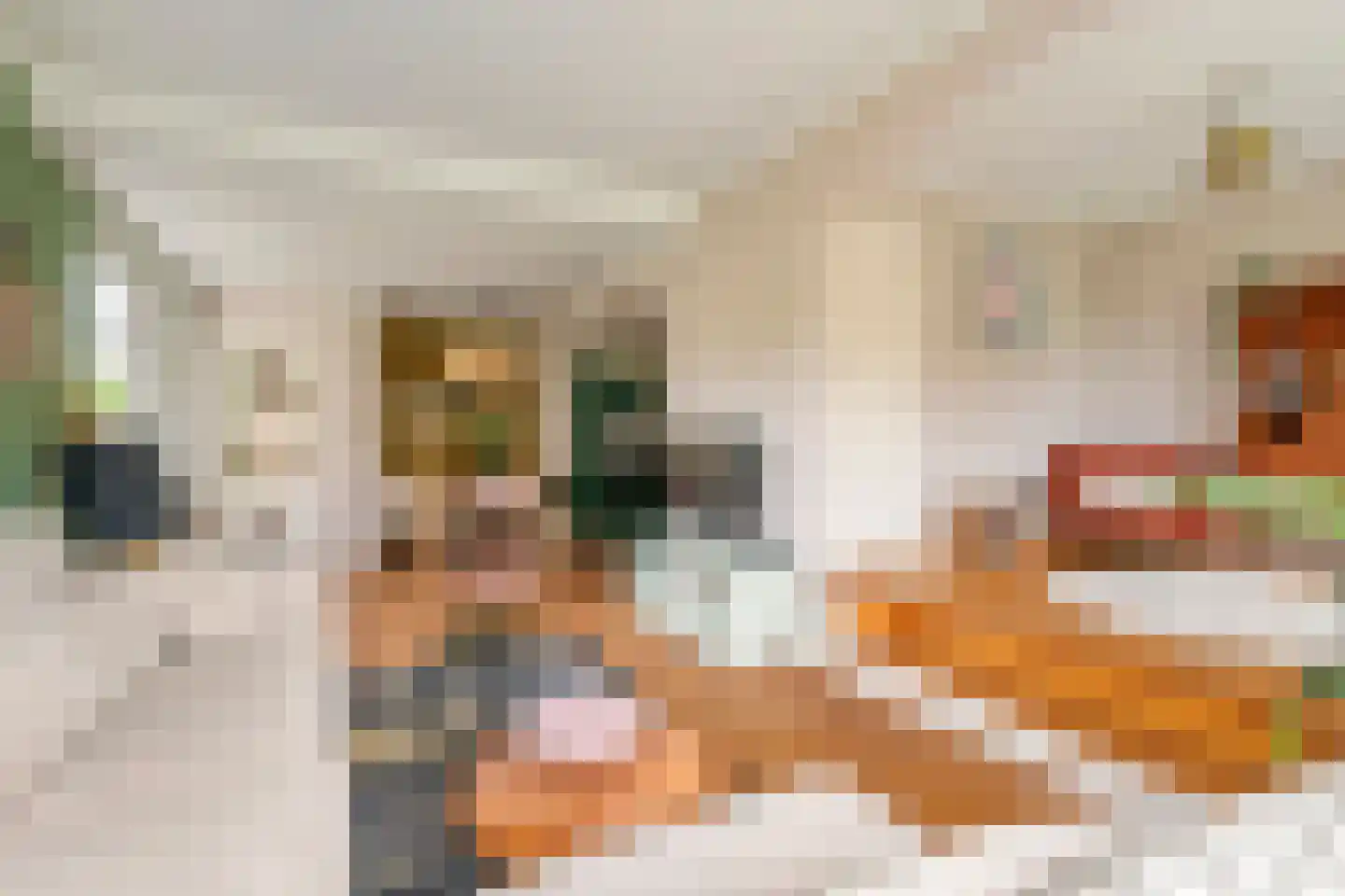Bulkstraat 15 Deil thumbnail 17
