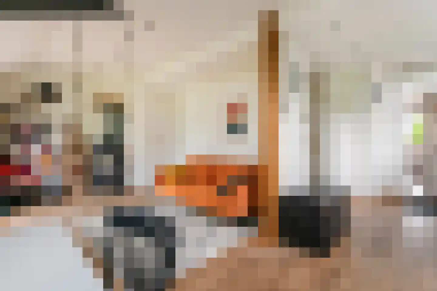 Bulkstraat 15 Deil thumbnail 24