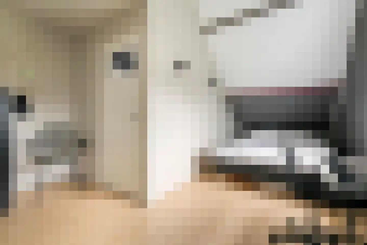 Bulkstraat 15 Deil thumbnail 31