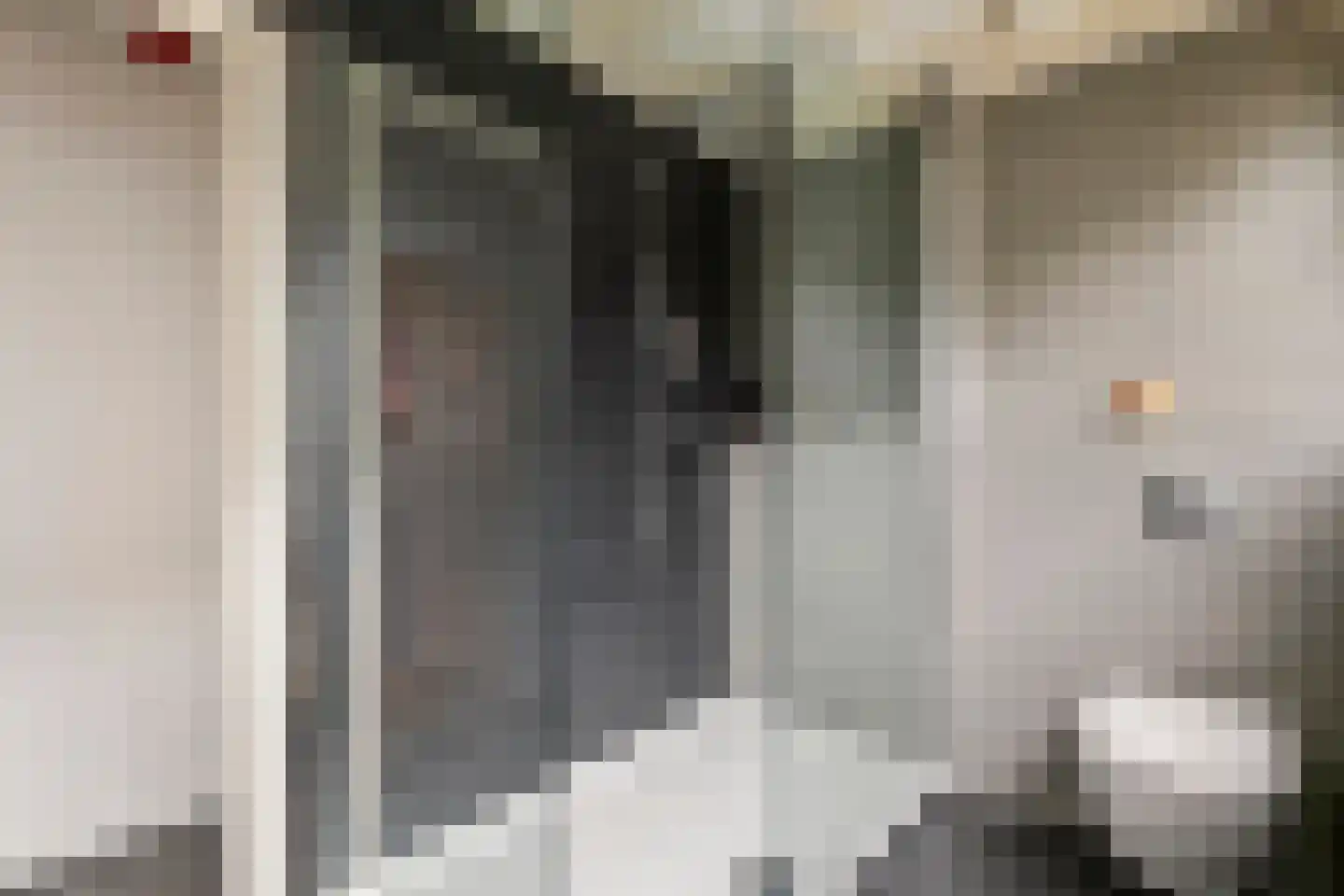 Bulkstraat 15 Deil thumbnail 39