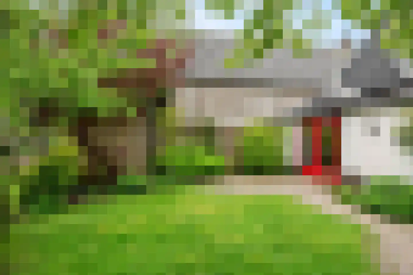 Bulkstraat 15 Deil thumbnail 4