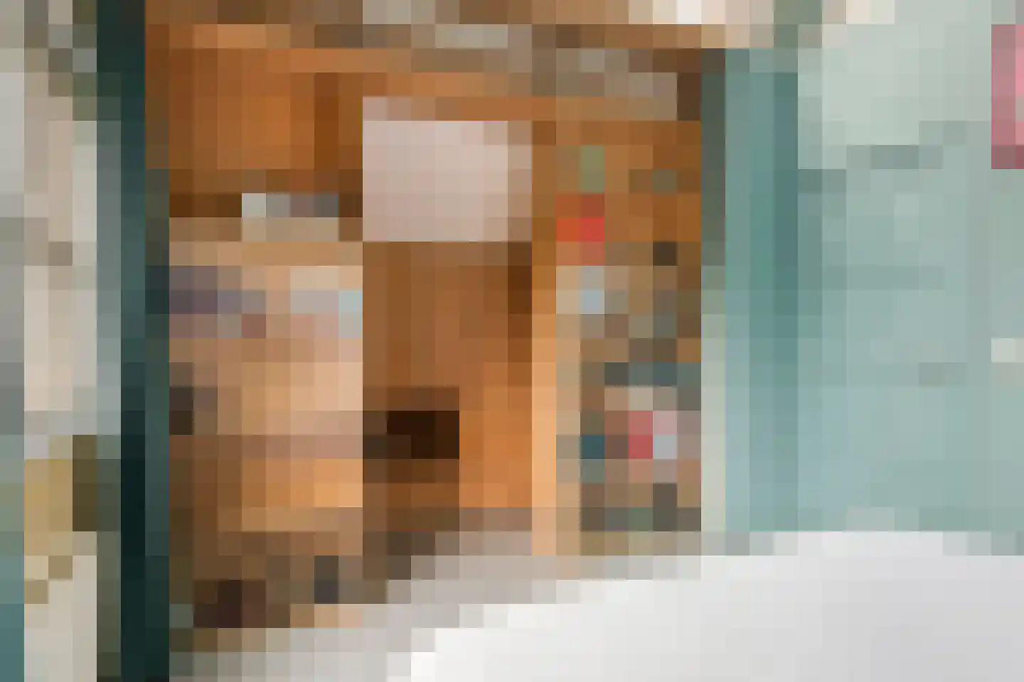 Bulkstraat 15 Deil thumbnail 44
