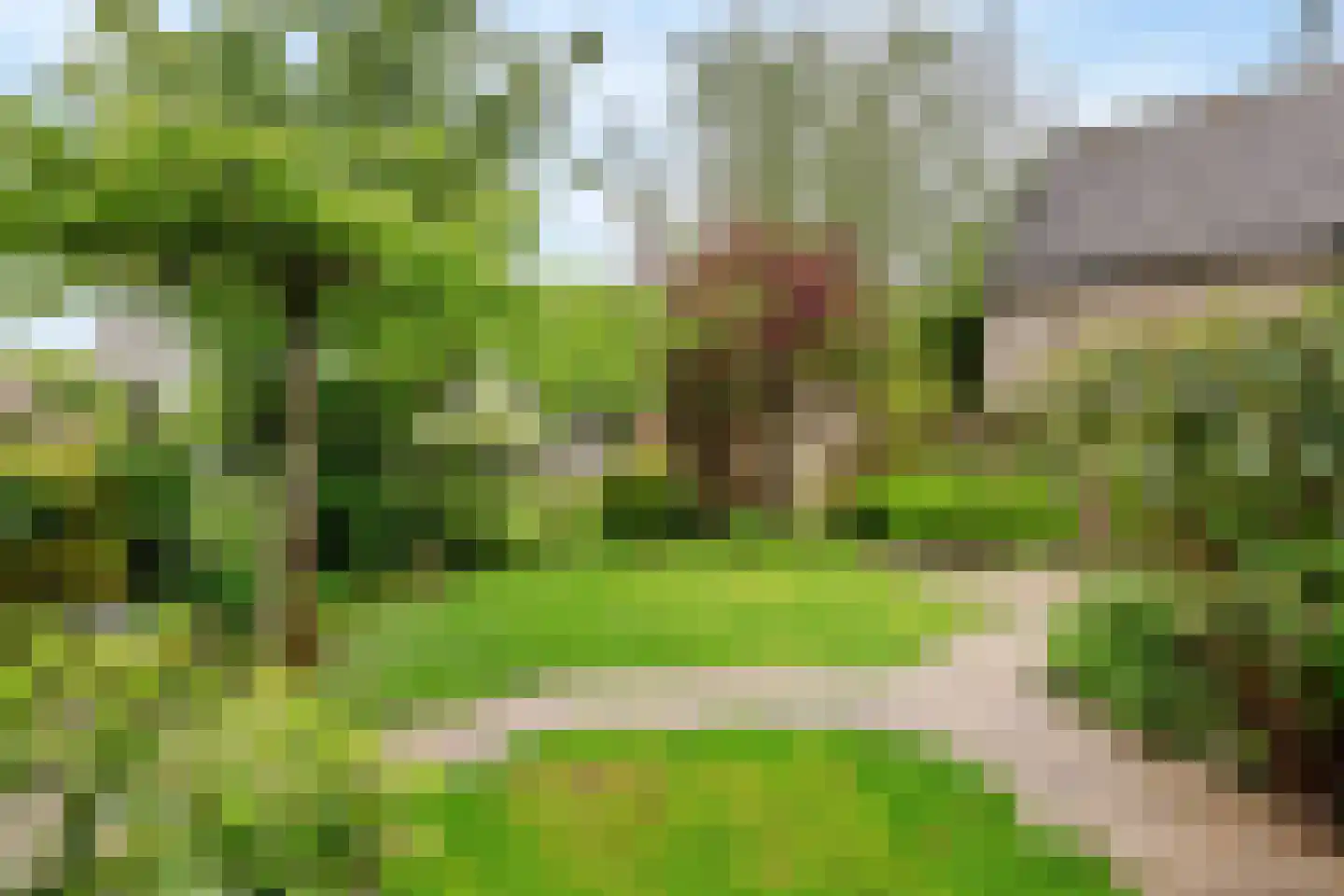Bulkstraat 15 Deil thumbnail 5