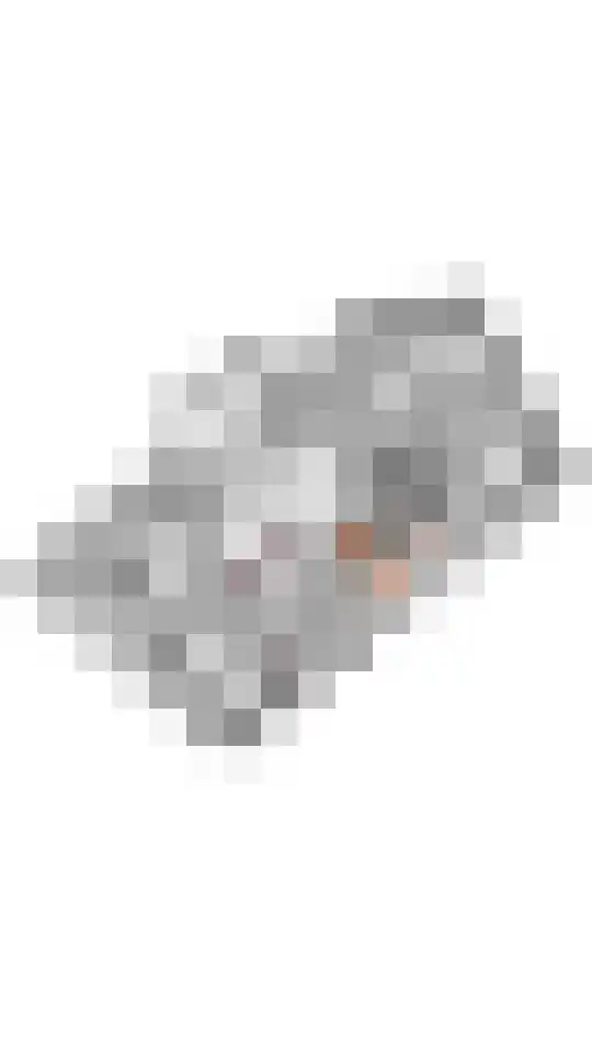 Bulkstraat 15 Deil thumbnail 50