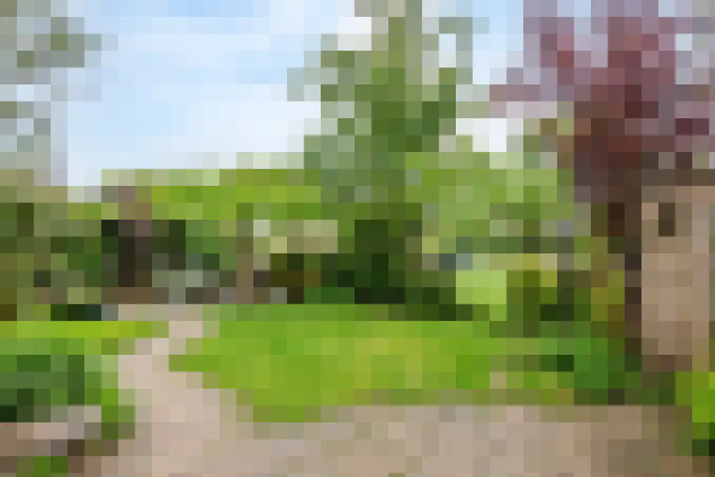 Bulkstraat 15 Deil thumbnail 6
