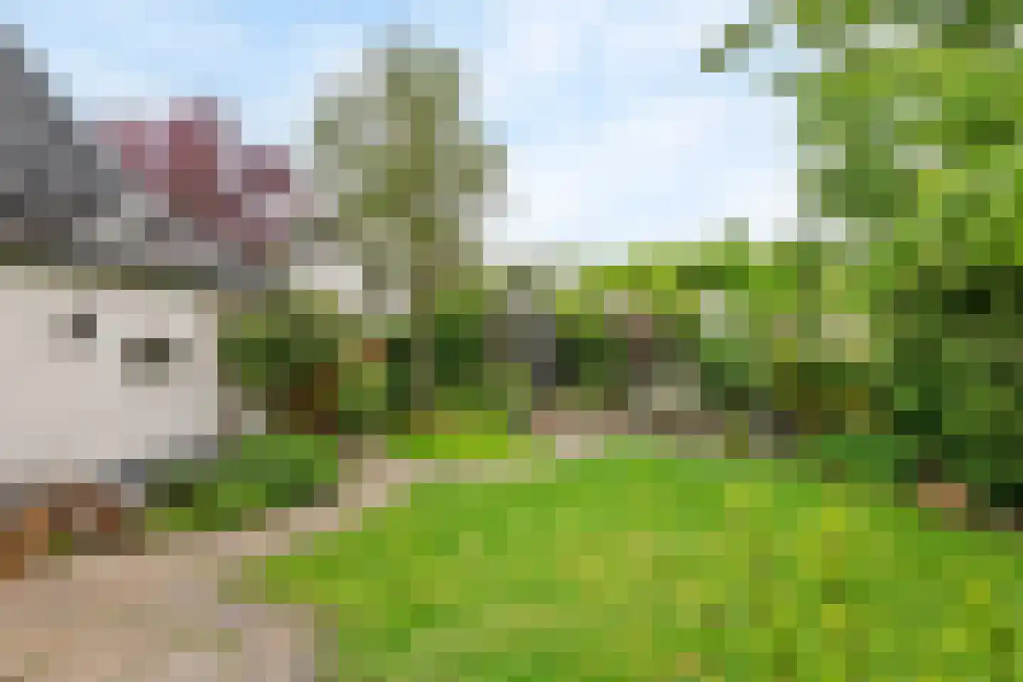 Bulkstraat 15 Deil thumbnail 7