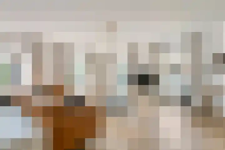 Bulkstraat 48 Tricht thumbnail 10