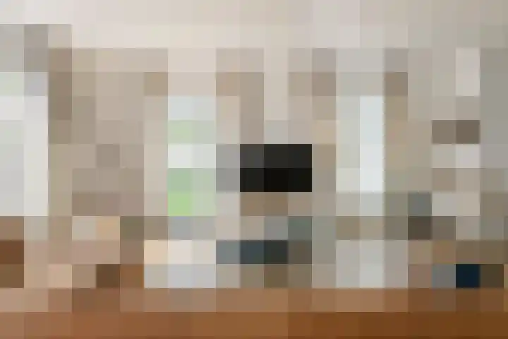 Bulkstraat 48 Tricht thumbnail 15