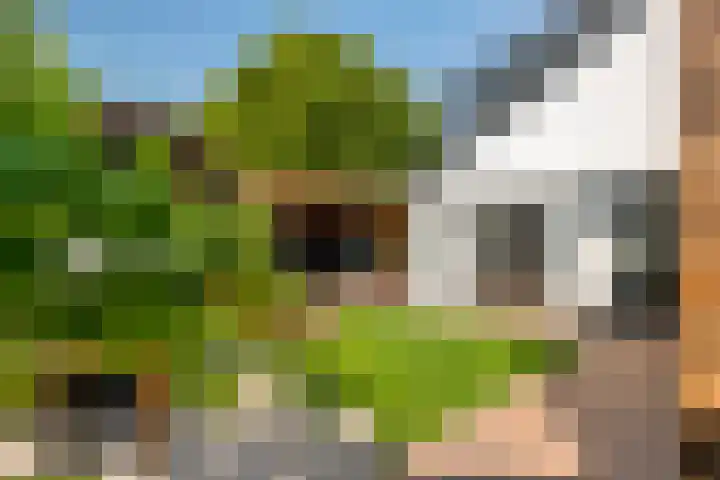 Bulkstraat 48 Tricht thumbnail 37