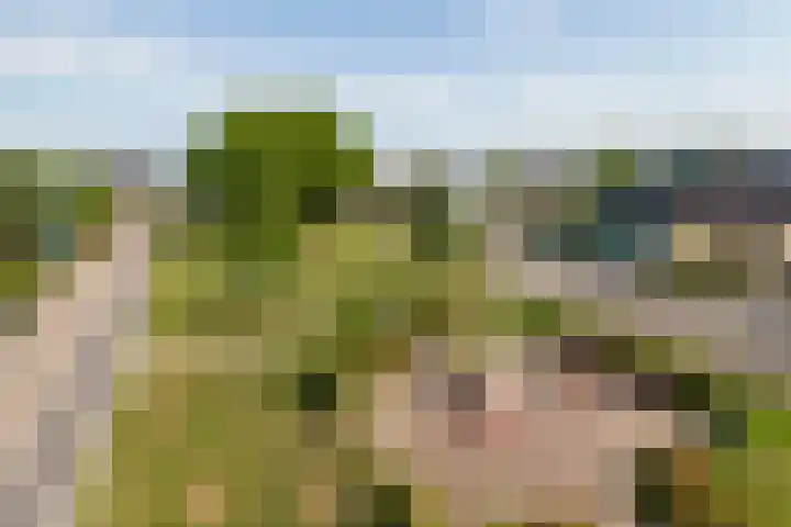 Bulkstraat 48 Tricht thumbnail 4