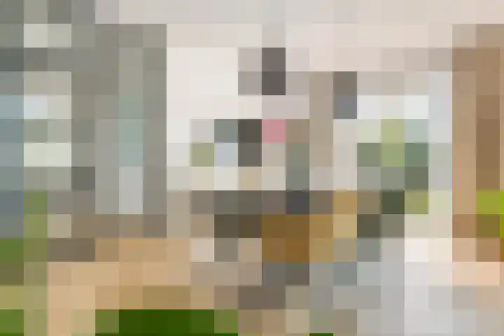 Bulkstraat 48 Tricht thumbnail 6