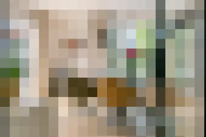 Bulkstraat 48 Tricht thumbnail 8