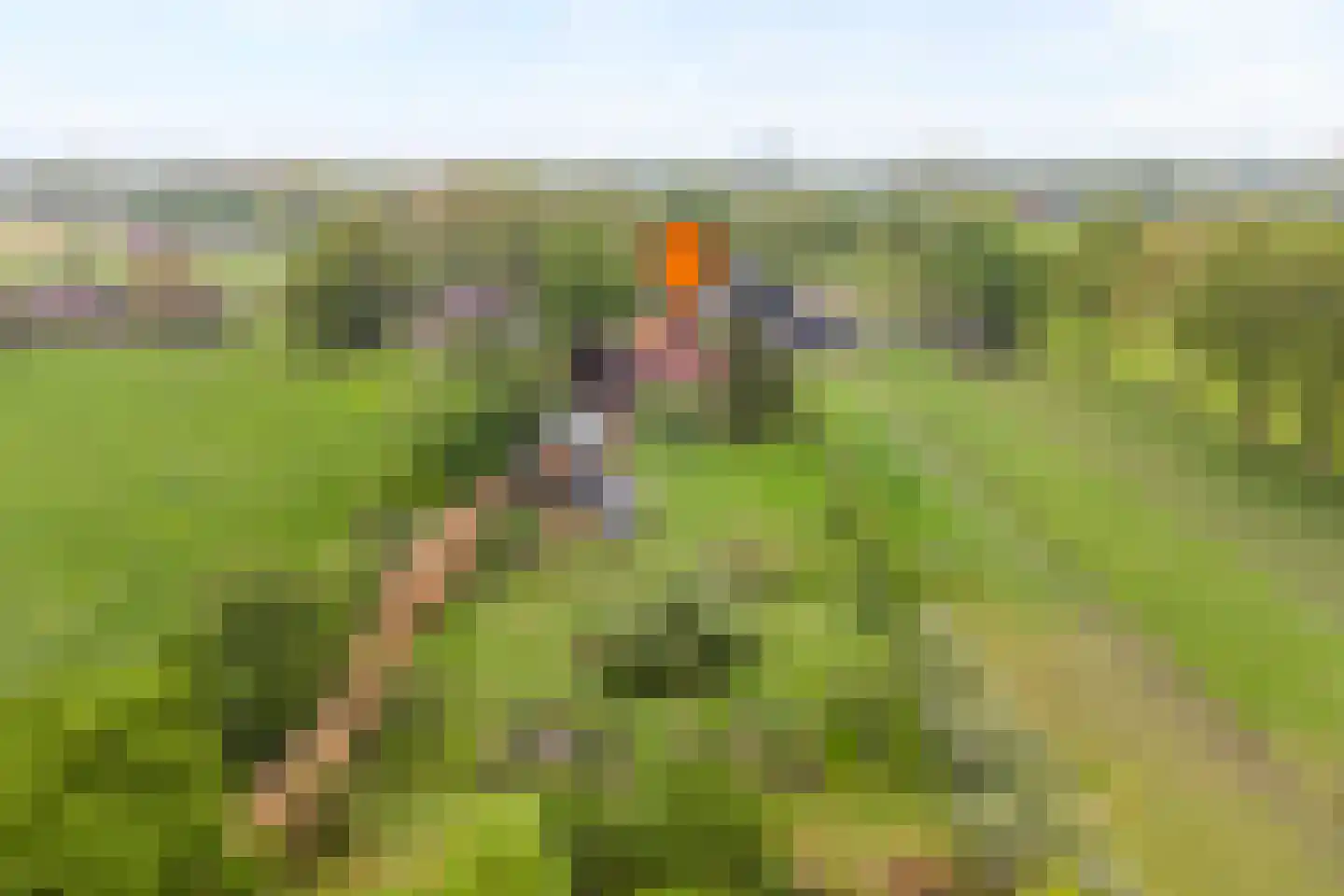 Bullenaarsweg 1 c Enter thumbnail 10