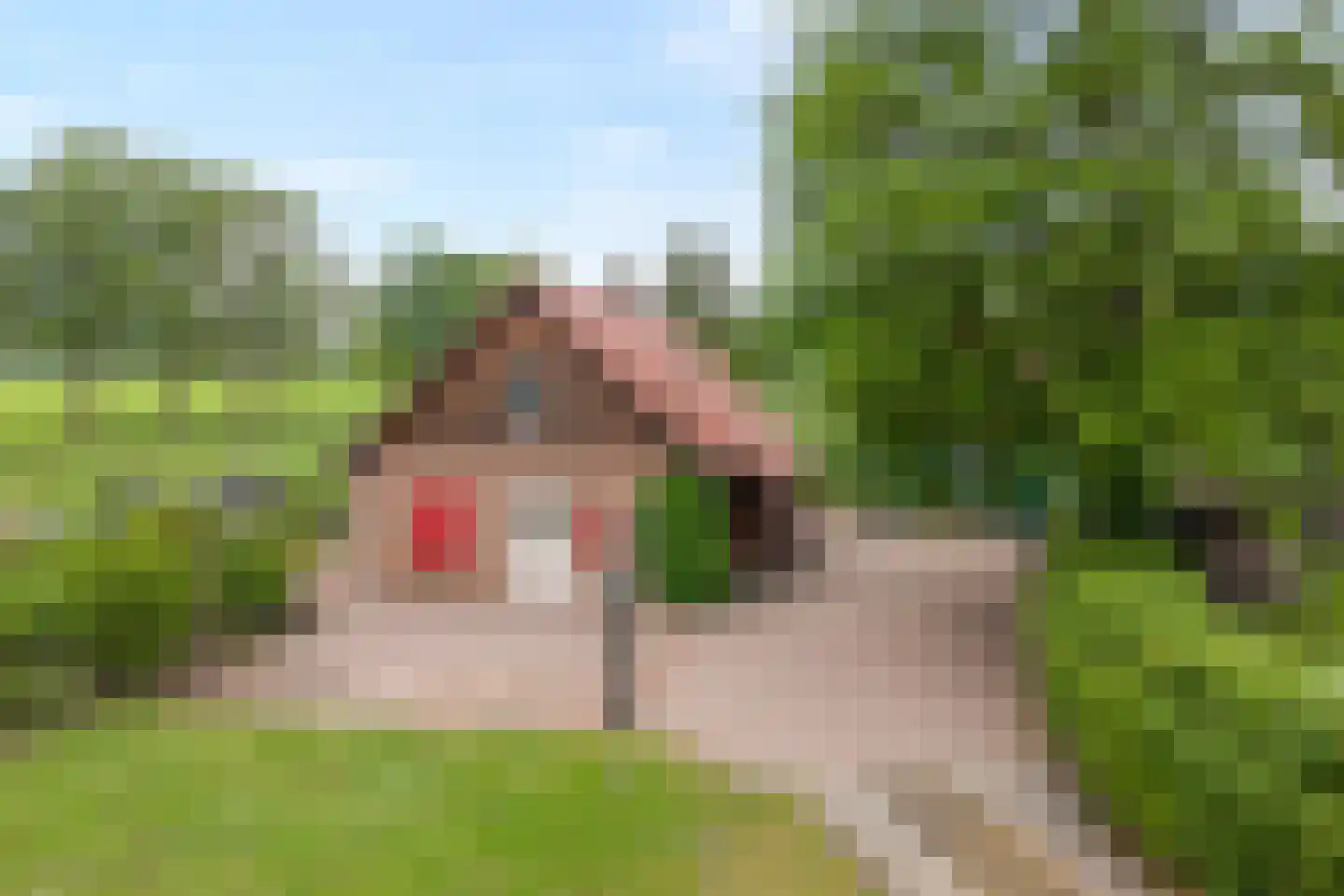 Bullenaarsweg 1 c Enter thumbnail 6