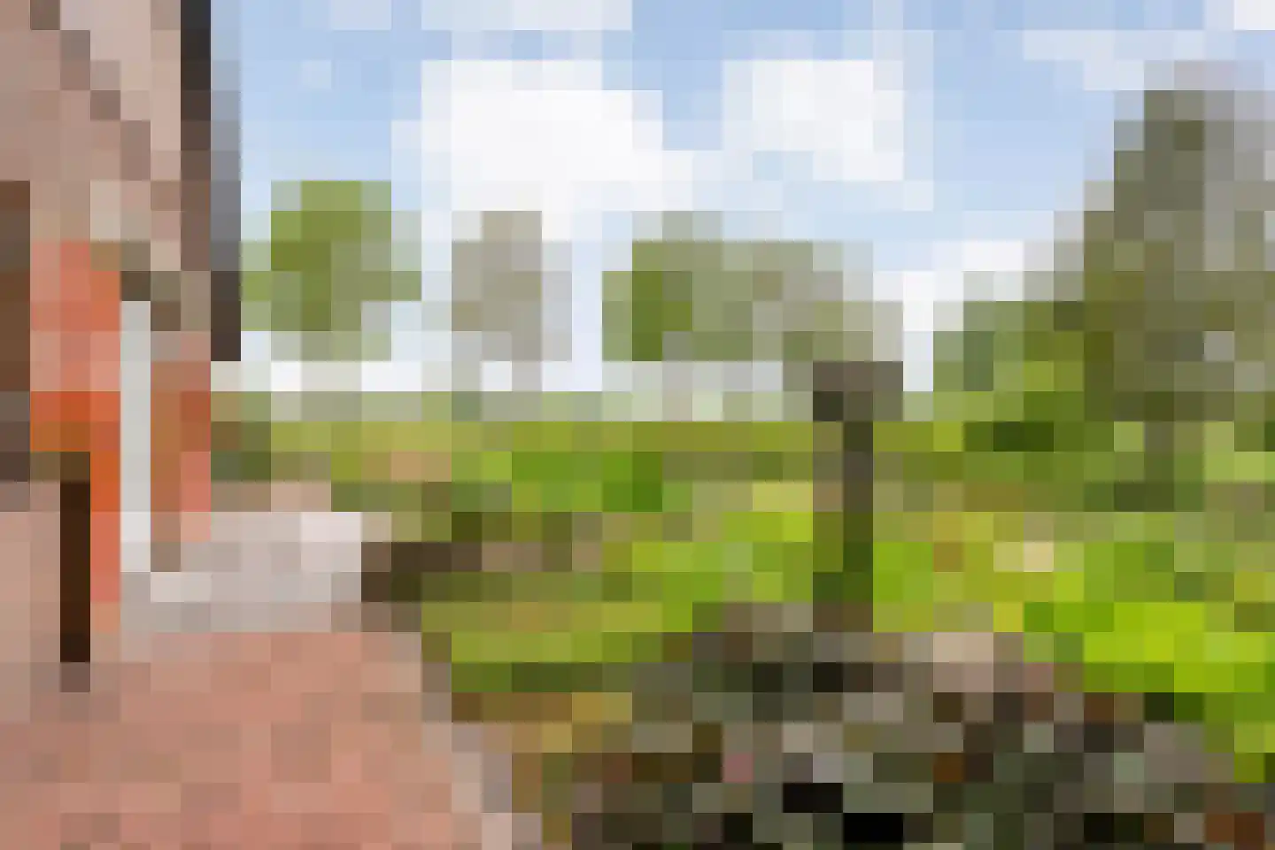 Bullenaarsweg 1 c Enter thumbnail 61