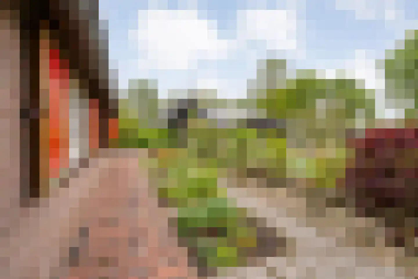 Bullenaarsweg 1 c Enter thumbnail 62