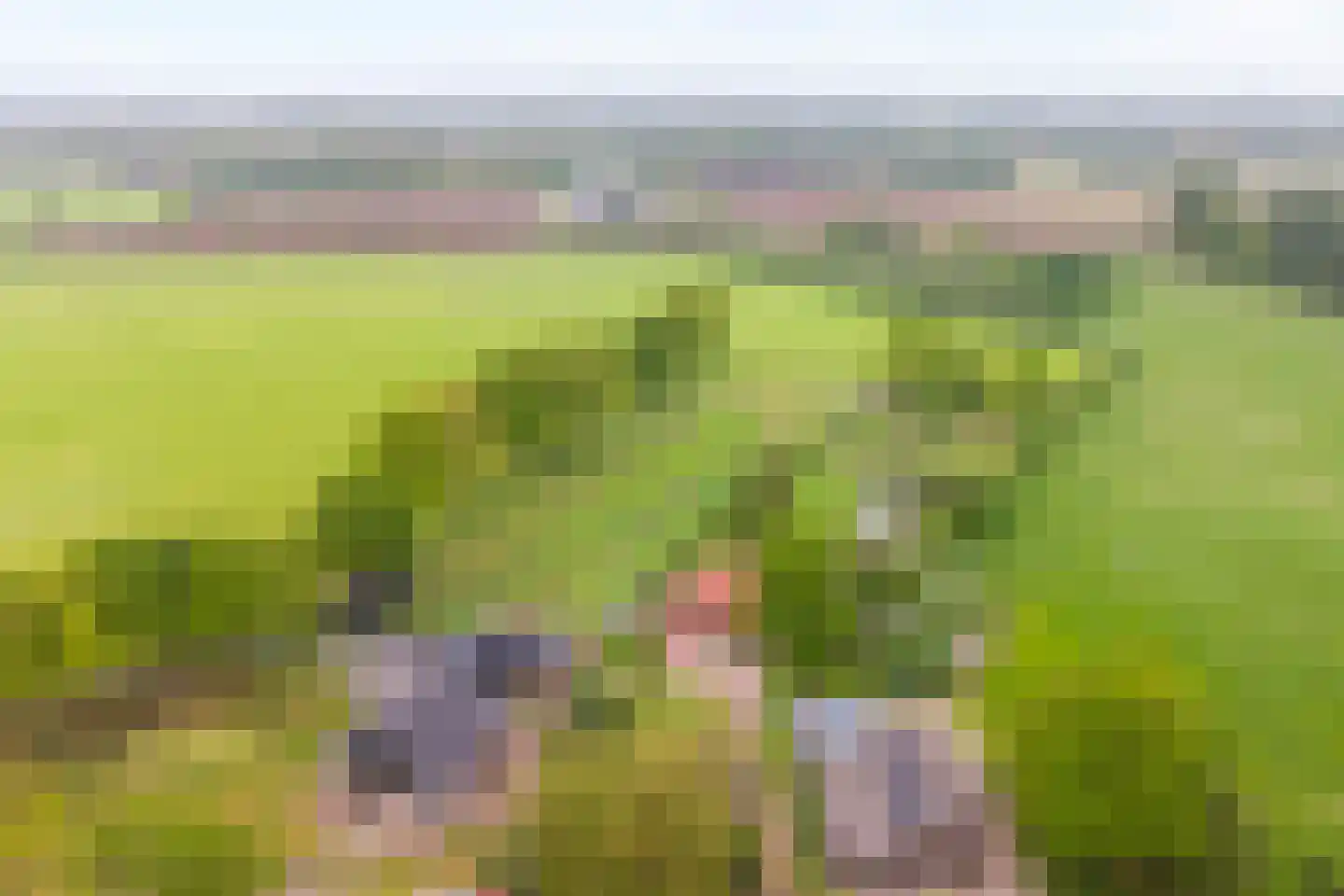 Bullenaarsweg 1 c Enter thumbnail 7