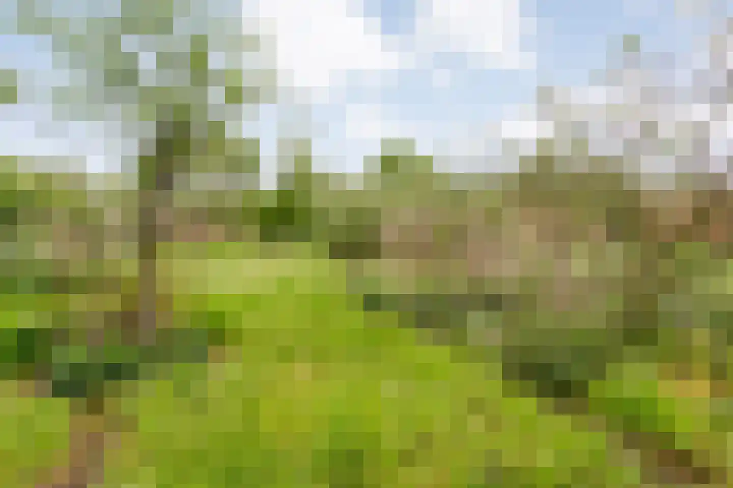 Bullenaarsweg 1 c Enter thumbnail 73