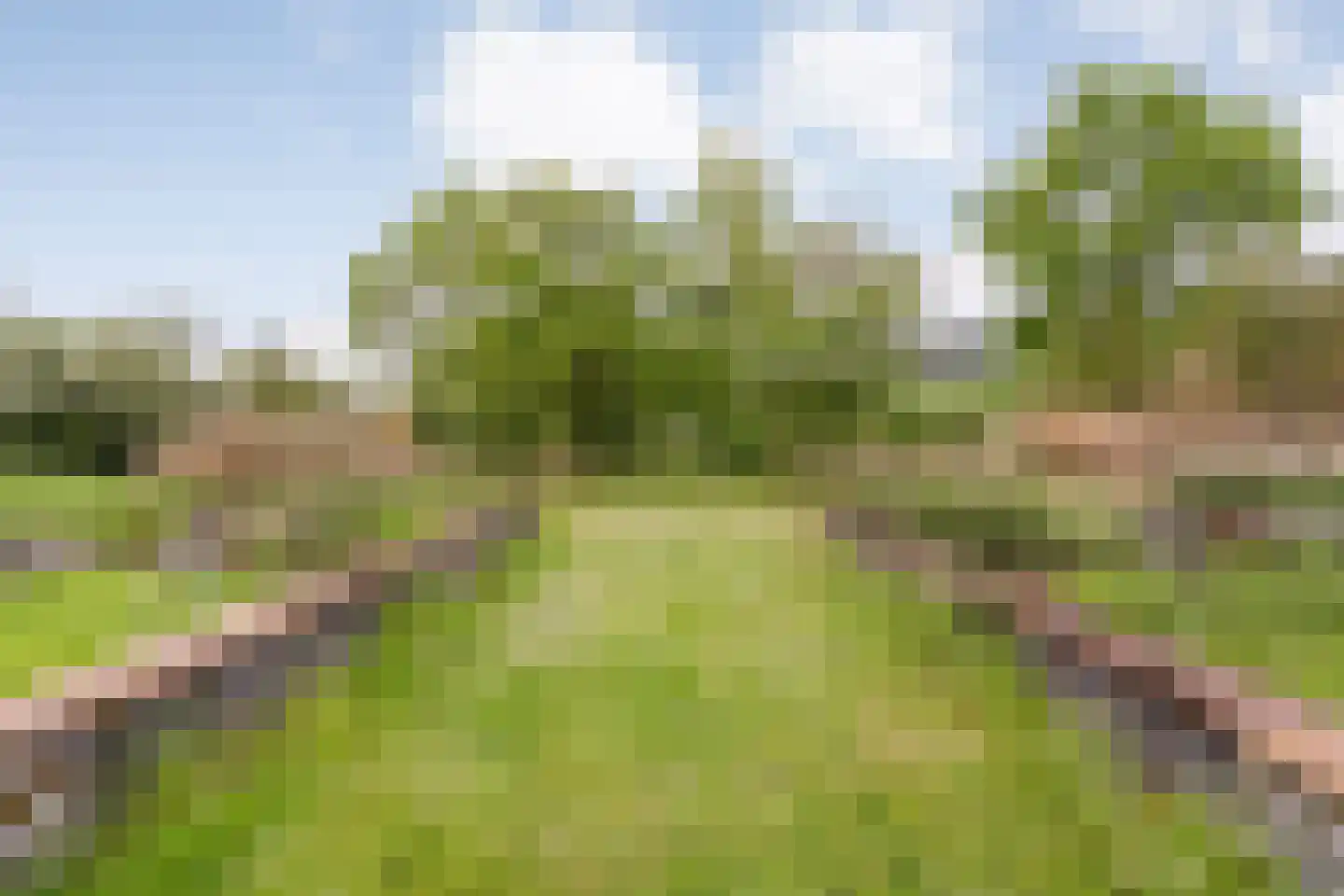 Bullenaarsweg 1 c Enter thumbnail 74