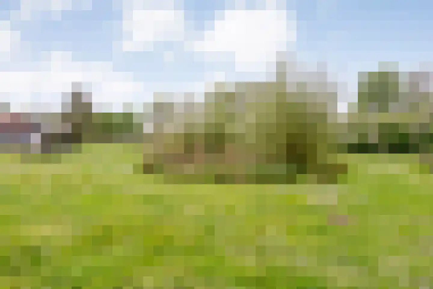 Bullenaarsweg 1 c Enter thumbnail 75