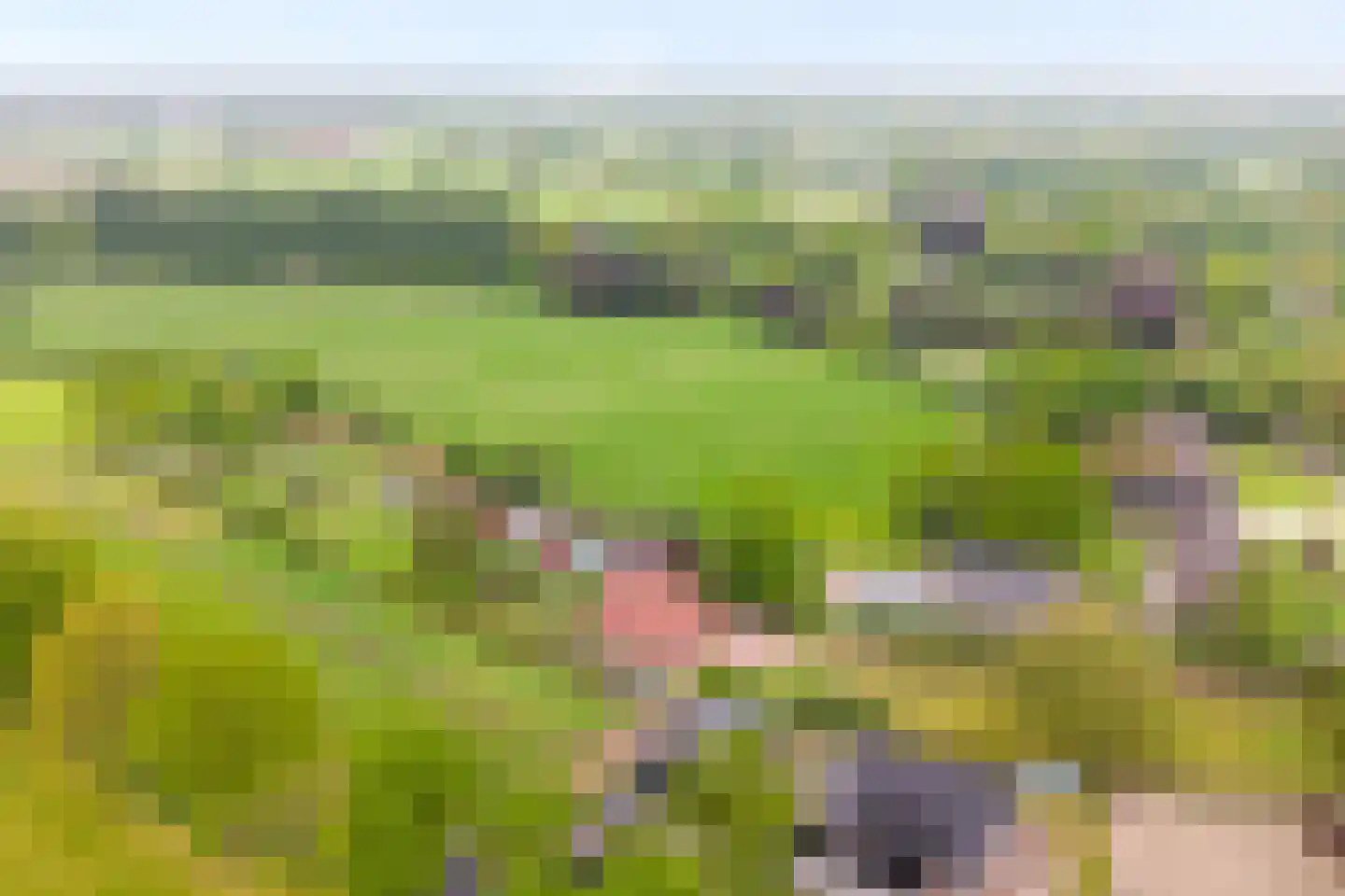 Bullenaarsweg 1 c Enter thumbnail 8