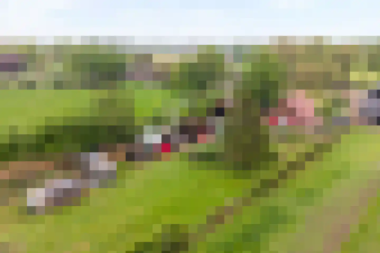Bullenaarsweg 1 c Enter thumbnail 9