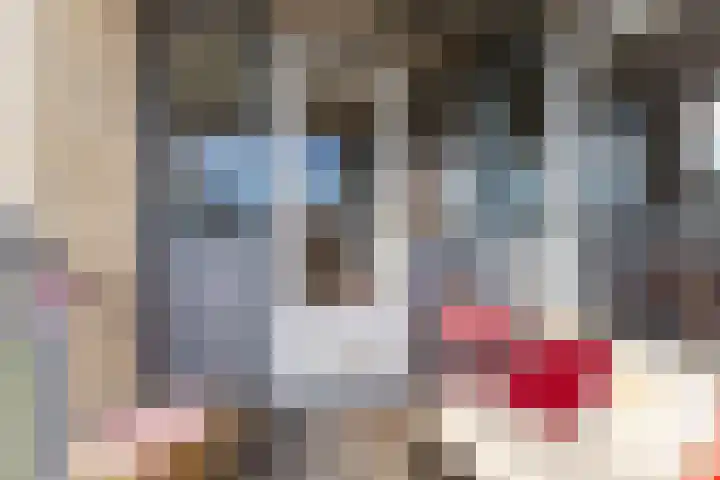 Büllerlaan 127 B Beverwijk thumbnail 10