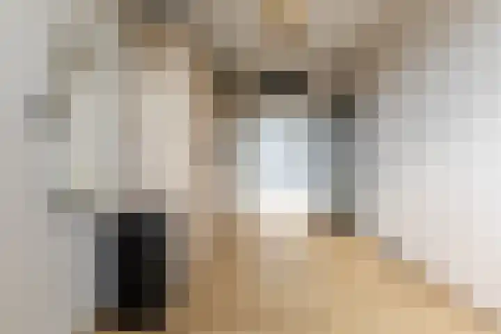 Büllerlaan 127 B Beverwijk thumbnail 15
