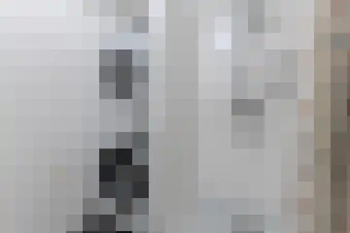 Büllerlaan 127 B Beverwijk thumbnail 20