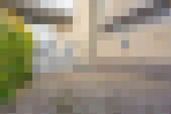 Büllerlaan 127 Beverwijk thumbnail 21