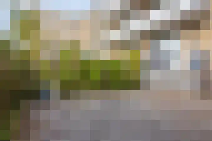 Büllerlaan 127 Beverwijk thumbnail 6