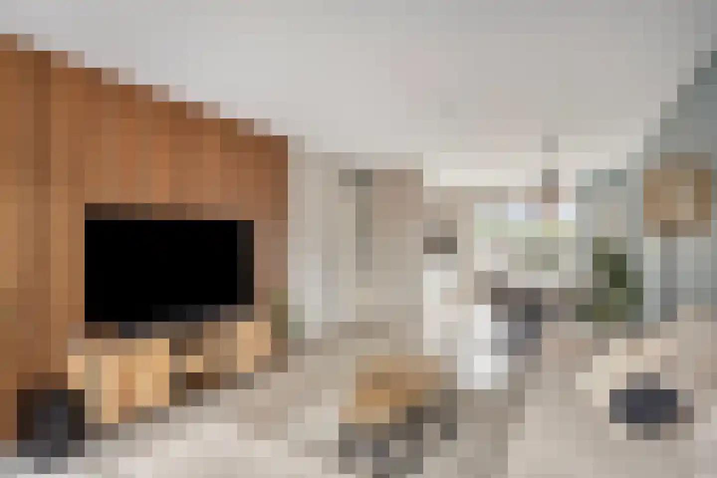 Büllerlaan 127 H Beverwijk thumbnail 4