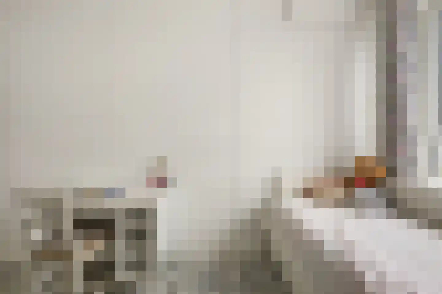 Büllerlaan 48 Beverwijk thumbnail 28