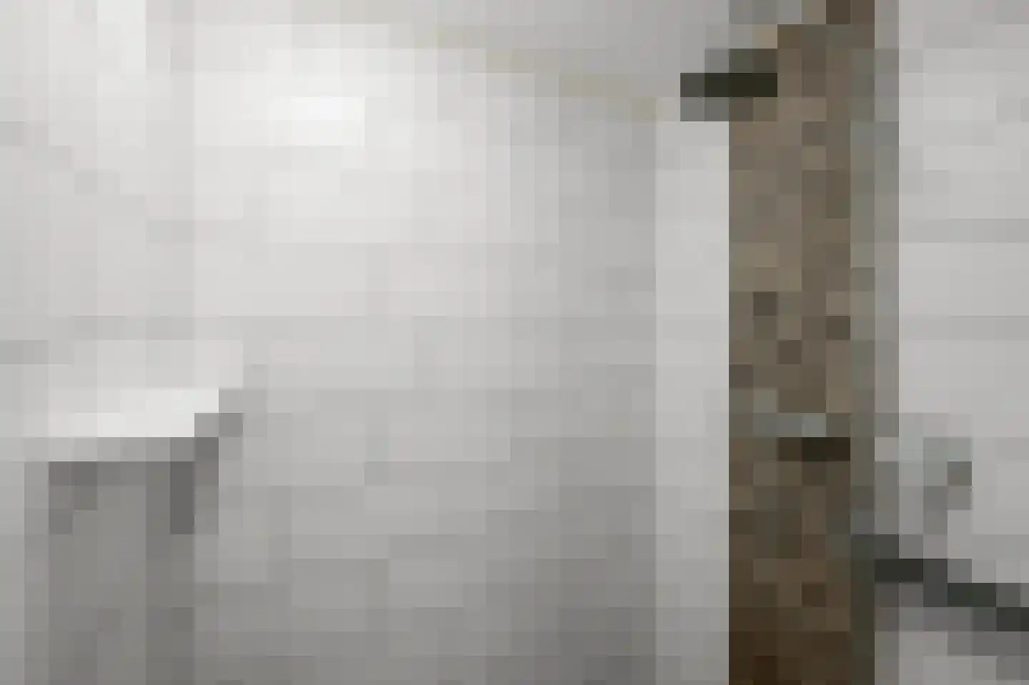 Büllerlaan 48 Beverwijk thumbnail 33