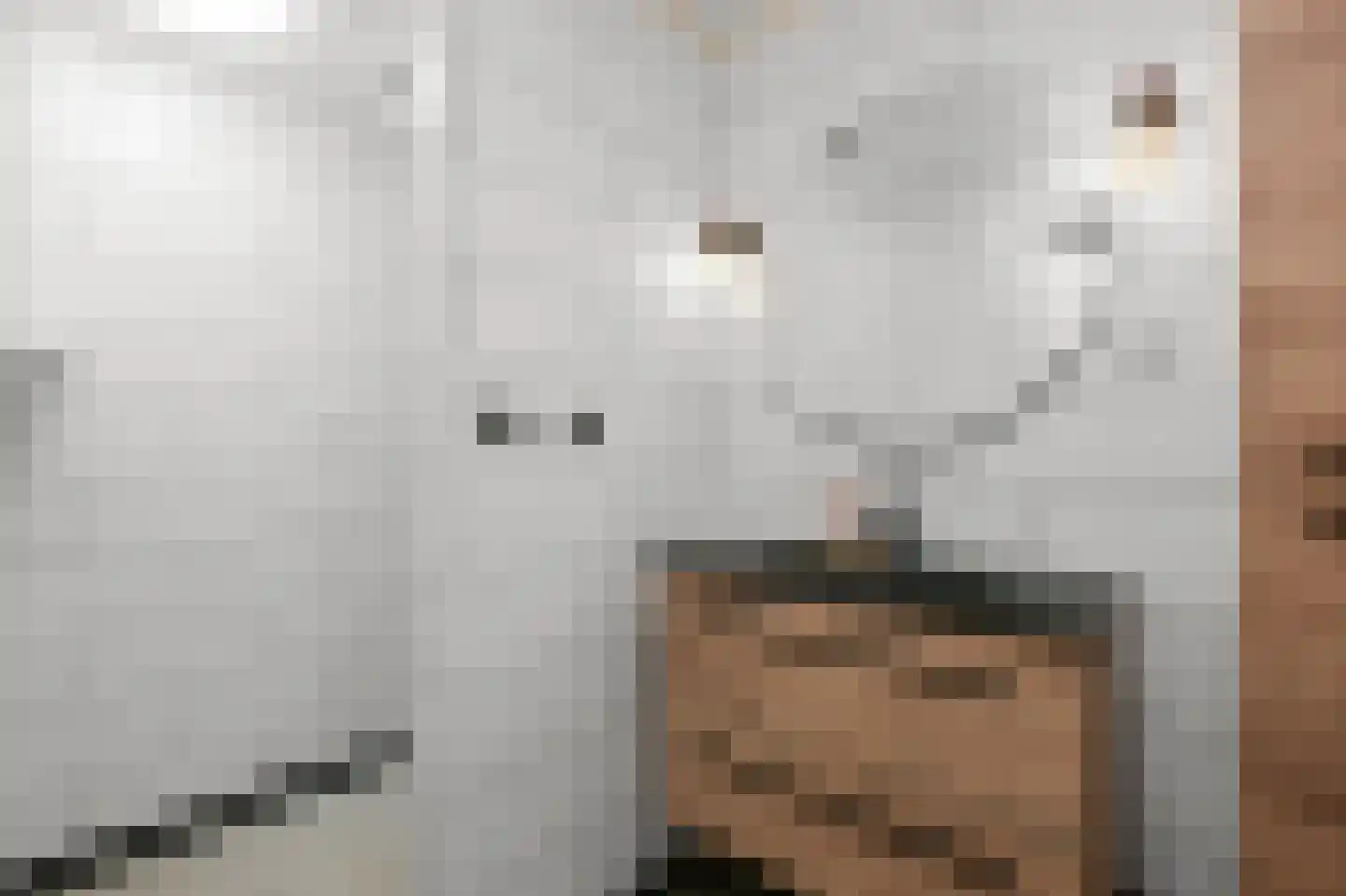 Büllerlaan 48 Beverwijk thumbnail 34