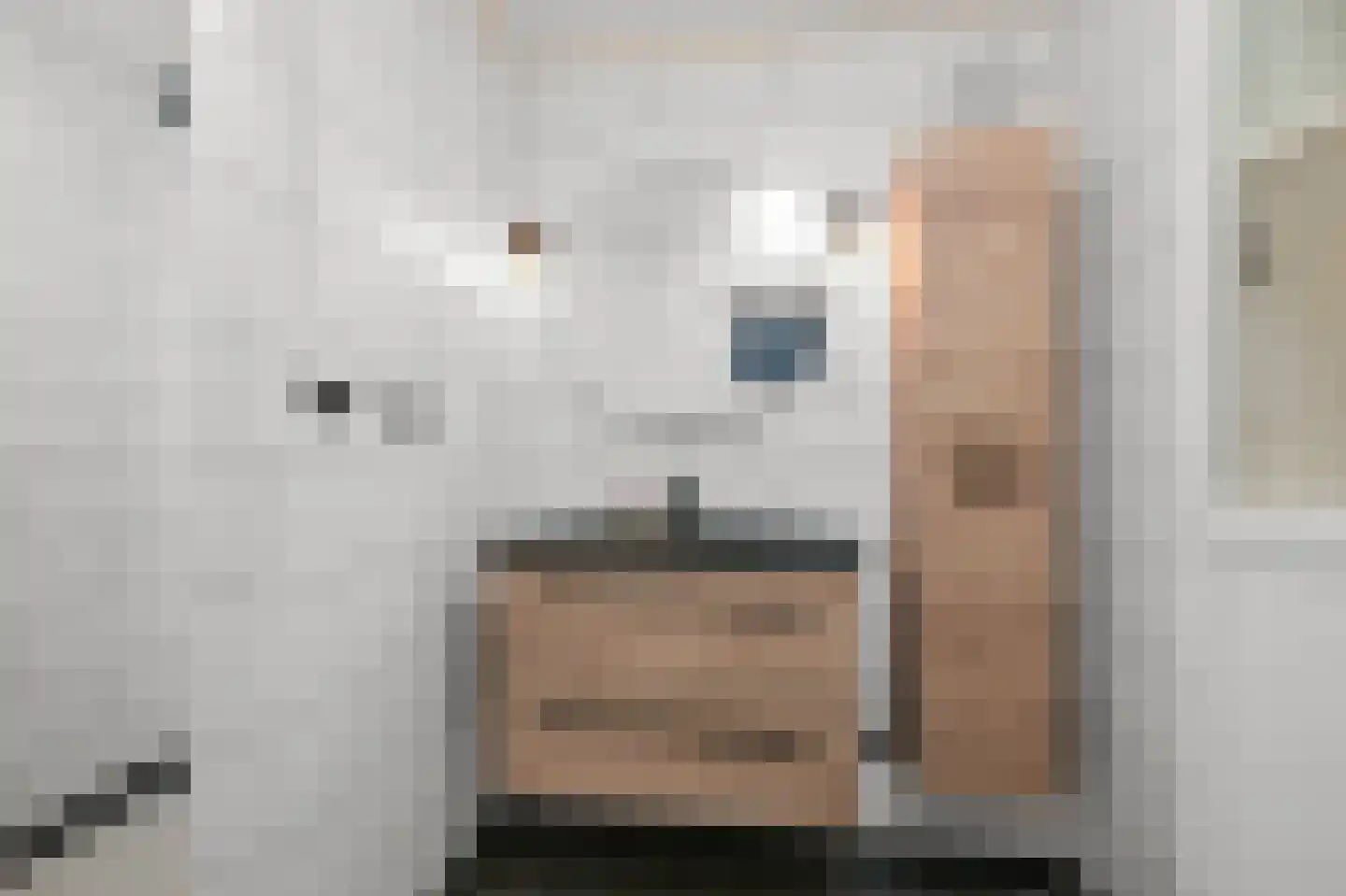 Büllerlaan 48 Beverwijk thumbnail 35