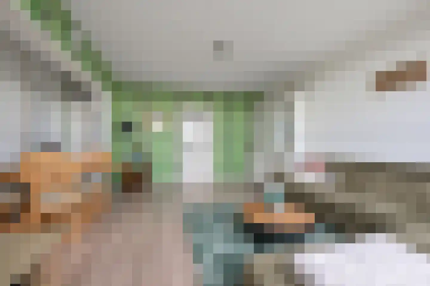 Büllerlaan 48 Beverwijk thumbnail 4