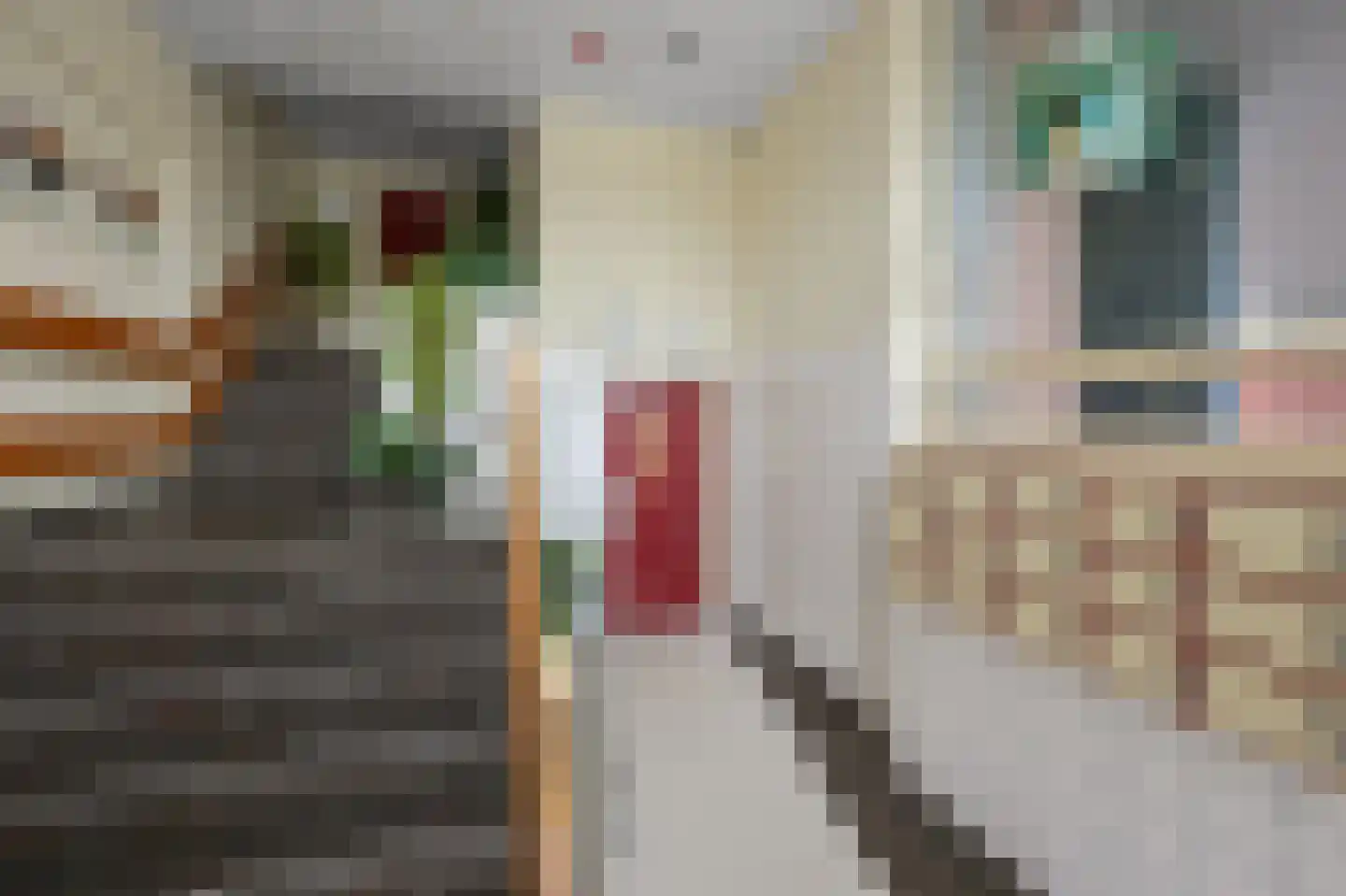 Büllerlaan 48 Beverwijk thumbnail 41
