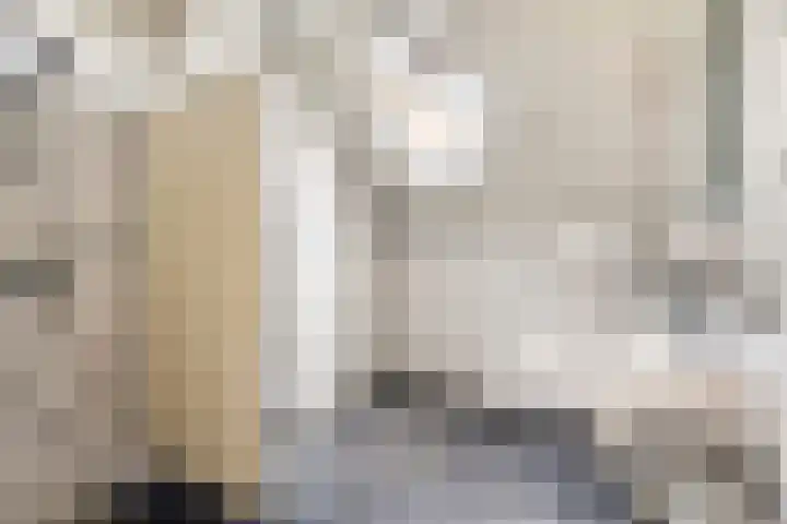 Bultengat 3 Arnemuiden thumbnail 23