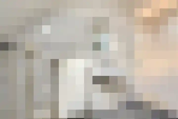 Bultengat 3 Arnemuiden thumbnail 24