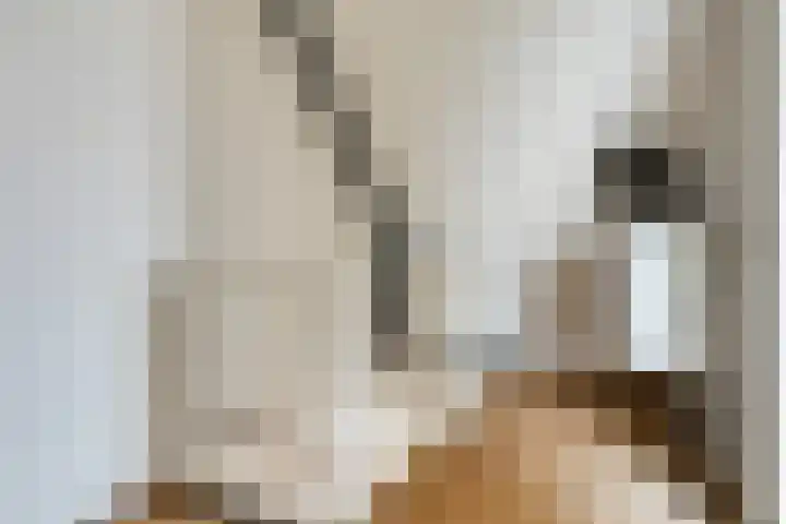 Bultengat 3 Arnemuiden thumbnail 26