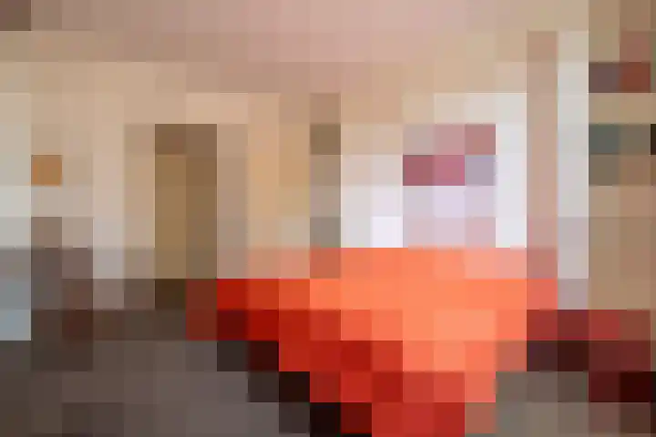 Bultensweg 13 Doetinchem thumbnail 31