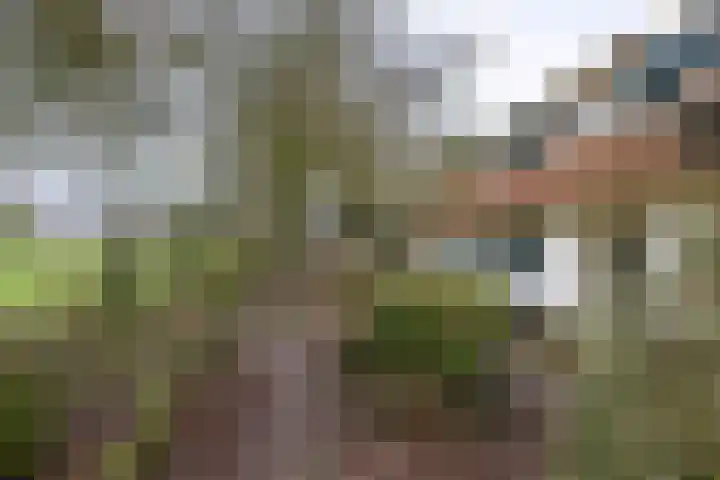 Bultensweg 13 Doetinchem thumbnail 56