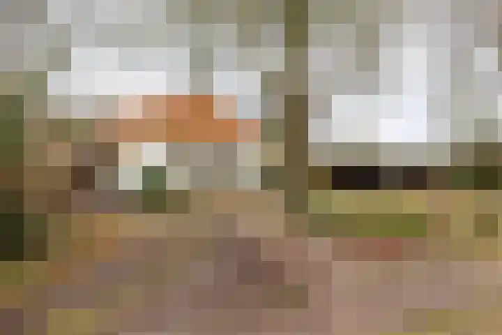 Bultensweg 13 Doetinchem thumbnail 58